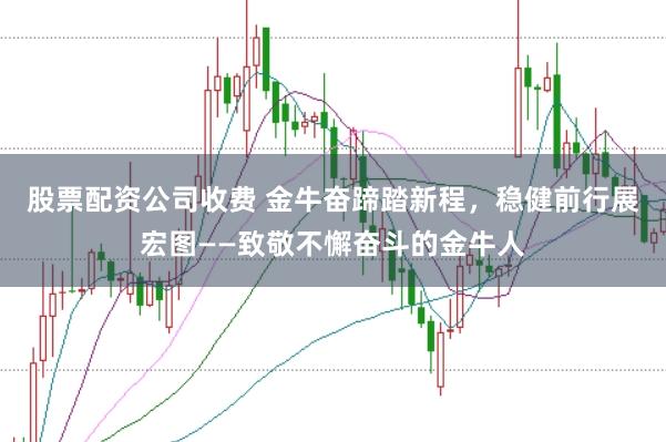股票配资公司收费 金牛奋蹄踏新程，稳健前行展宏图——致敬不懈奋斗的金牛人