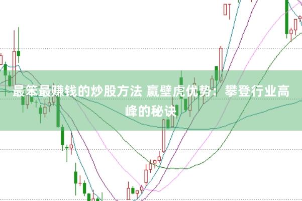 最笨最赚钱的炒股方法 赢壁虎优势：攀登行业高峰的秘诀