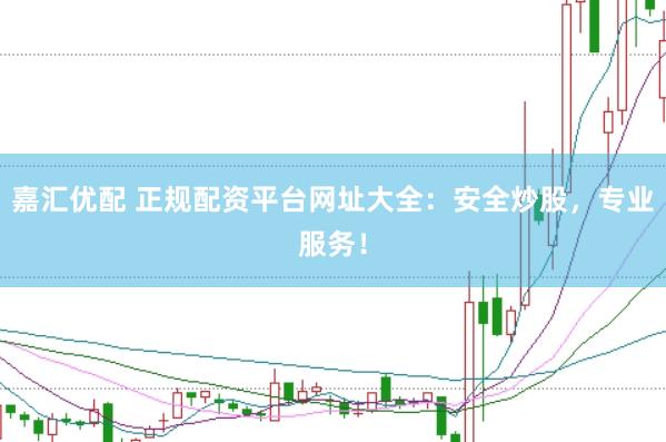 嘉汇优配 正规配资平台网址大全：安全炒股，专业服务！