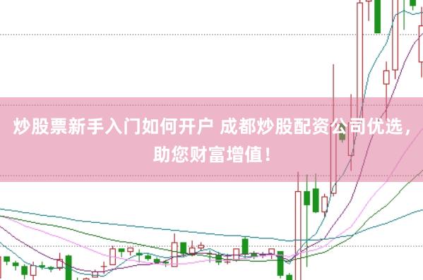 炒股票新手入门如何开户 成都炒股配资公司优选，助您财富增值！