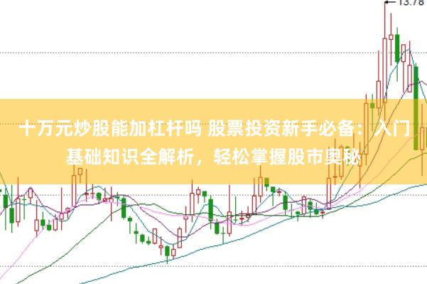 十万元炒股能加杠杆吗 股票投资新手必备：入门基础知识全解析，轻松掌握股市奥秘