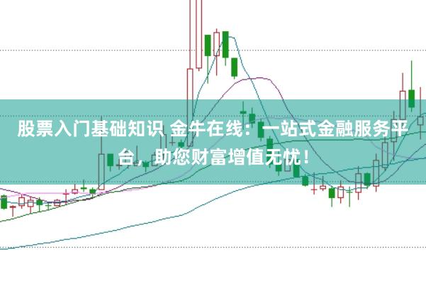 股票入门基础知识 金牛在线：一站式金融服务平台，助您财富增值无忧！
