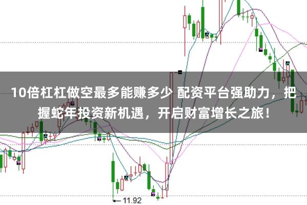 10倍杠杠做空最多能赚多少 配资平台强助力，把握蛇年投资新机遇，开启财富增长之旅！