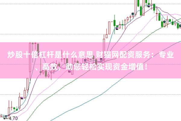 炒股十倍杠杆是什么意思 财猫网配资服务：专业、高效，助您轻松实现资金增值！