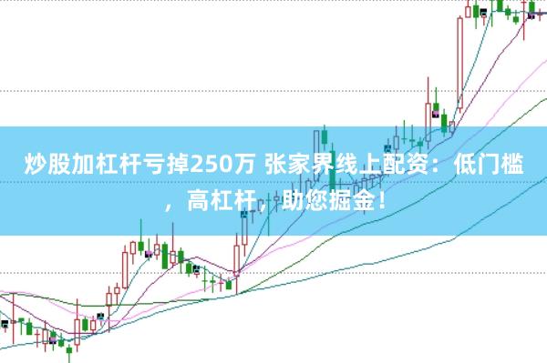 炒股加杠杆亏掉250万 张家界线上配资：低门槛，高杠杆，助您掘金！