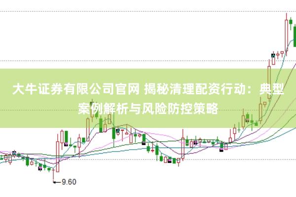 大牛证券有限公司官网 揭秘清理配资行动：典型案例解析与风险防控策略