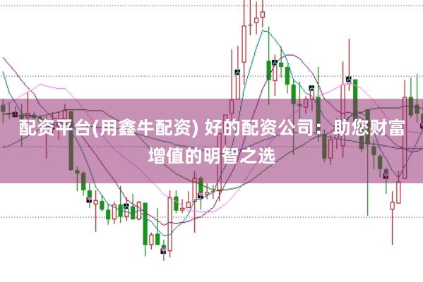 配资平台(用鑫牛配资) 好的配资公司：助您财富增值的明智之选