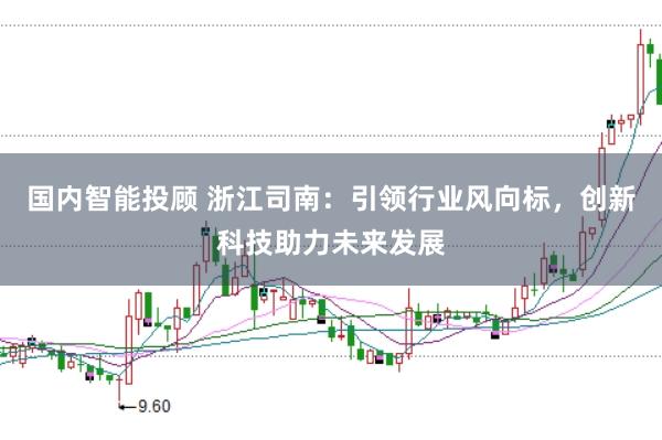 国内智能投顾 浙江司南：引领行业风向标，创新科技助力未来发展