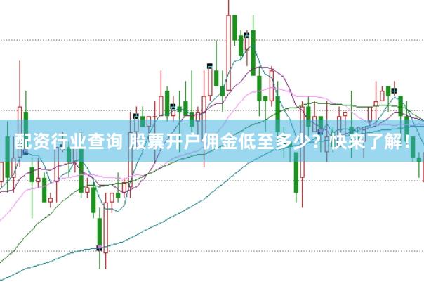 配资行业查询 股票开户佣金低至多少？快来了解！