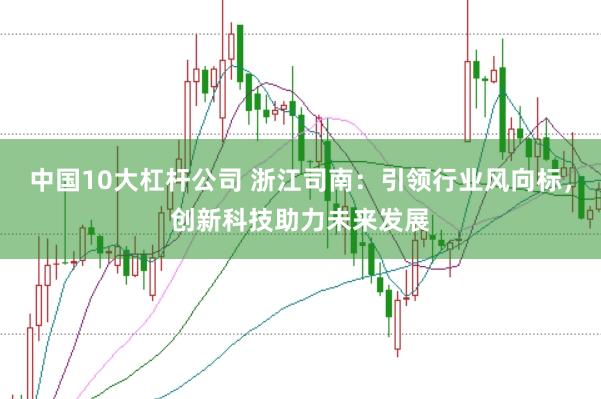 中国10大杠杆公司 浙江司南：引领行业风向标，创新科技助力未来发展