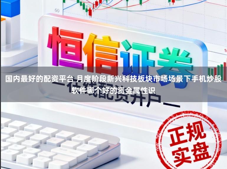 国内最好的配资平台 月度阶段新兴科技板块市场场景下手机炒股软件哪个好的资金属性识
