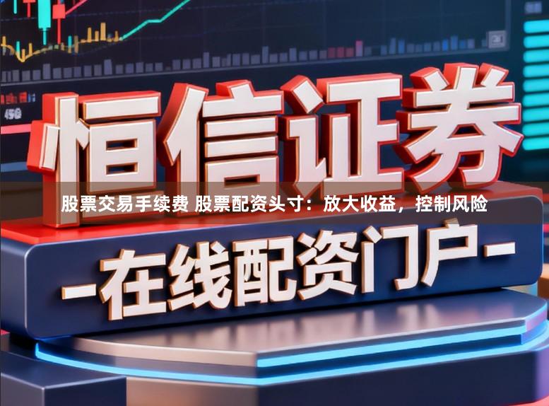 股票交易手续费 股票配资头寸：放大收益，控制风险